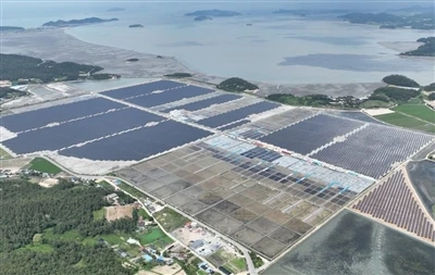 Esmeralda Seven Solar Project: U.S. Revokes Nevada Approval