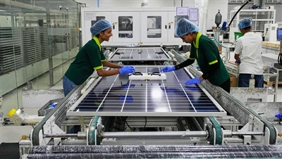 PV Shipment Returned To Vietnam After U.S. Entry Ban, Losses Under Review